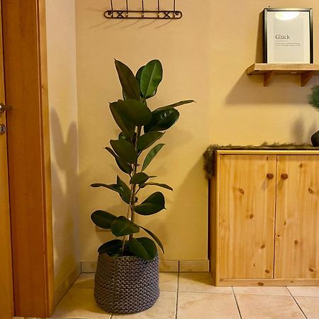 Appartement Auwald Форстау Екстериор снимка